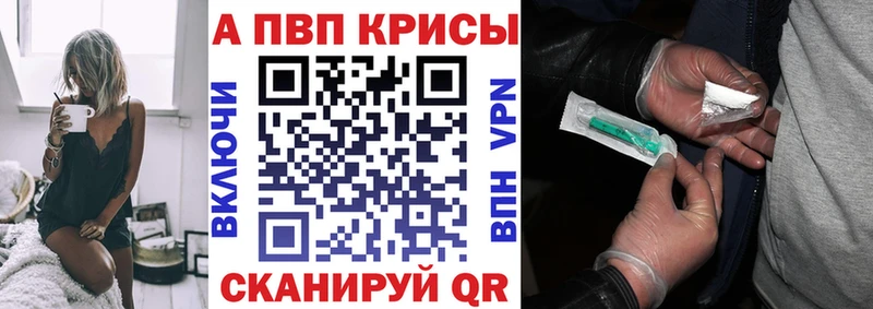 A PVP СК КРИС Братск