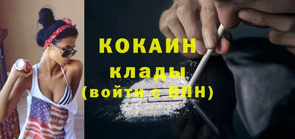 соль ск Вяземский