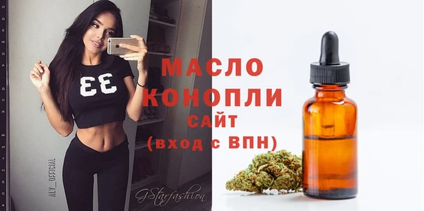 соль ск Вяземский