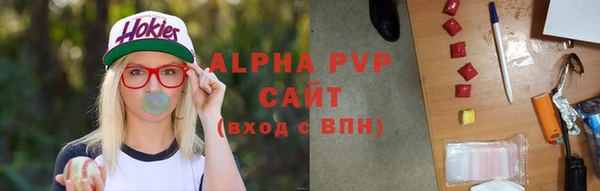соль ск Вяземский