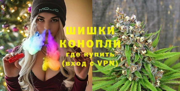 соль ск Вяземский