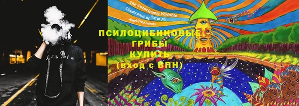соль ск Вяземский