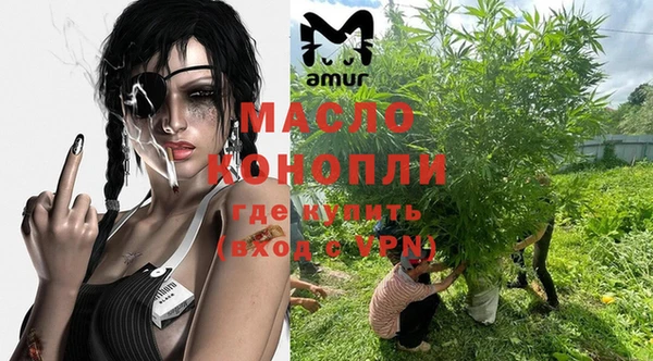 соль ск Вяземский